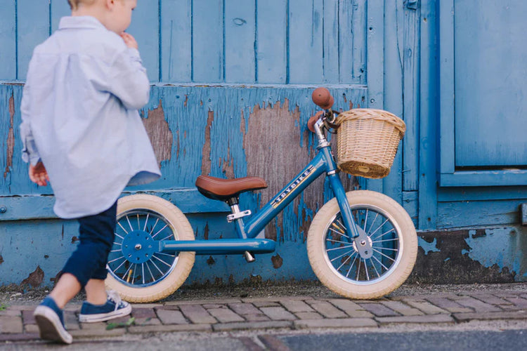 Trybike on Little Zebra