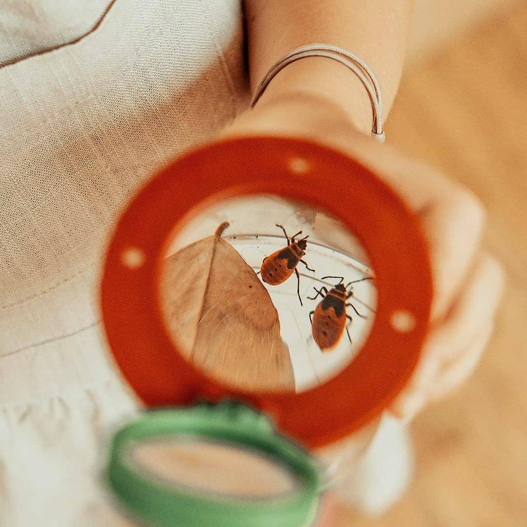 La boîte à insectes - Le Jardin du Moulin