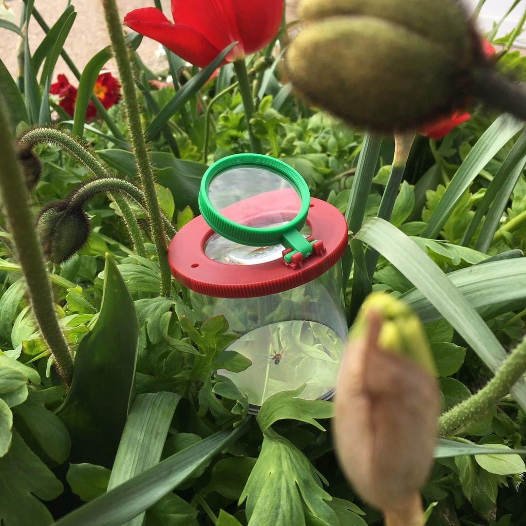 La boîte à insectes - Le Jardin du Moulin