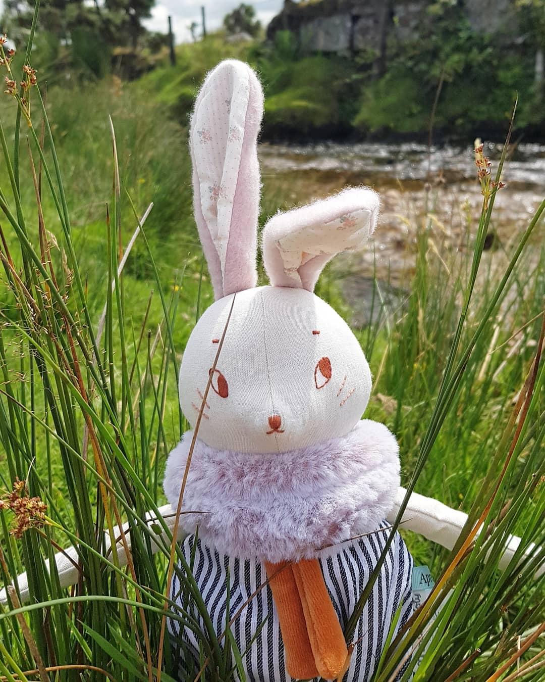 Grand Lapin Plume - Après la pluie