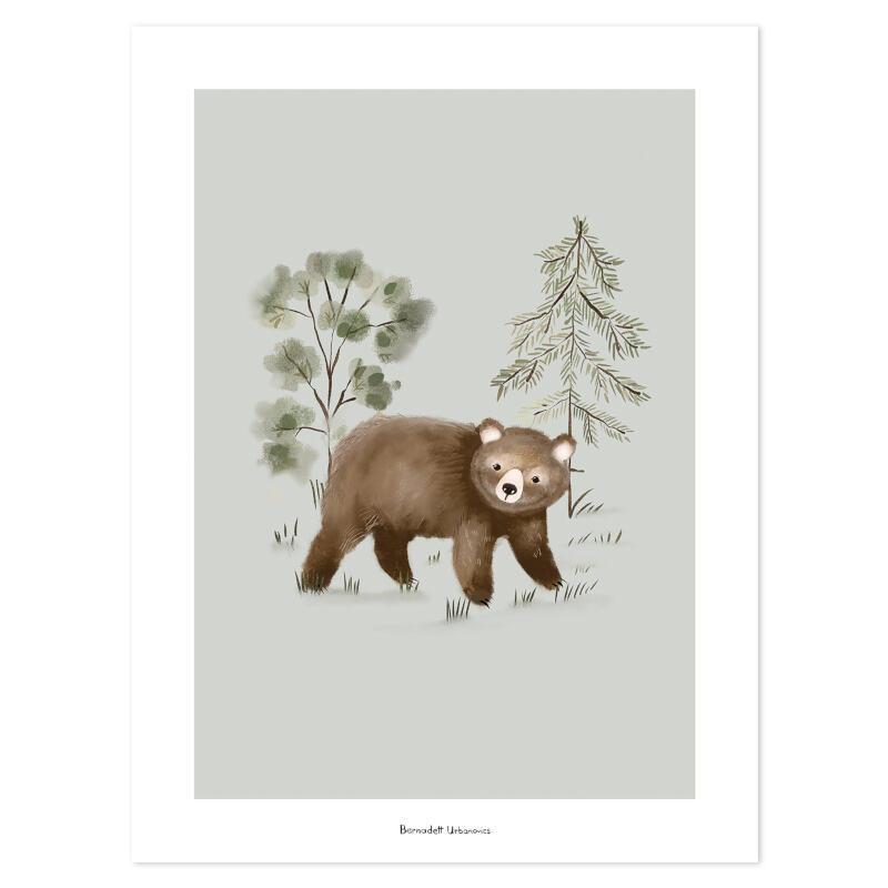 Affiche (30x40 cm) - Little Bear - Lilipinso