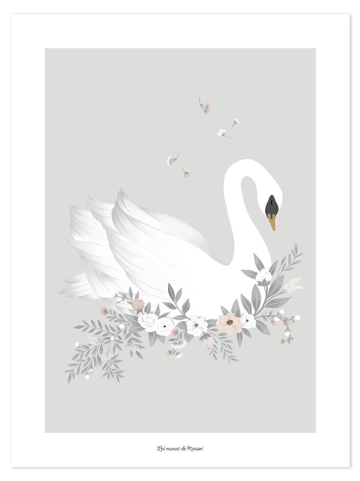 Affiche - Cygne - Fond gris