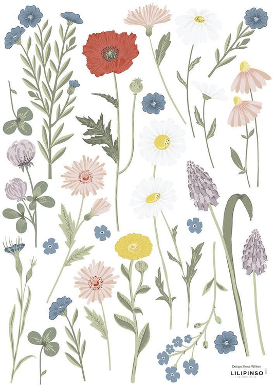 Planche de stickers A3 - Fleurs des champs Bleut et Coquelicot