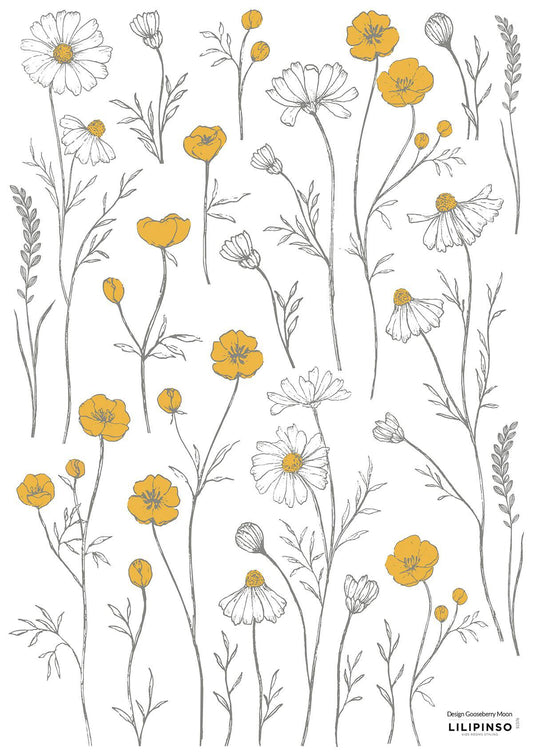 Planche de stickers A3 - Boutons d'or et fleurs de camomille