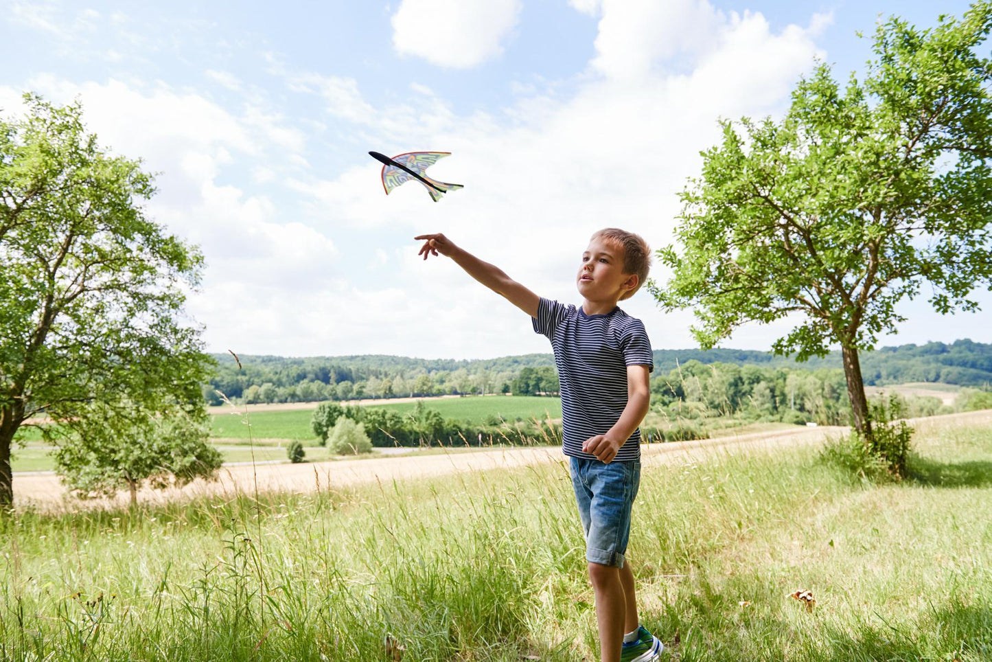 Terra Kids - Fronde-oiseau