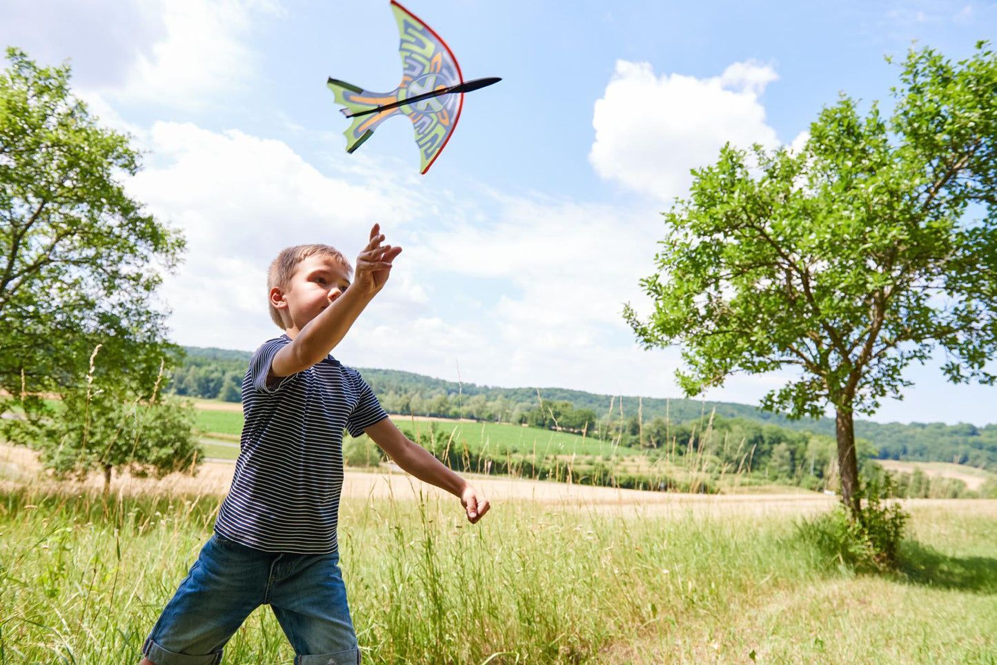 Terra Kids - Fronde-oiseau