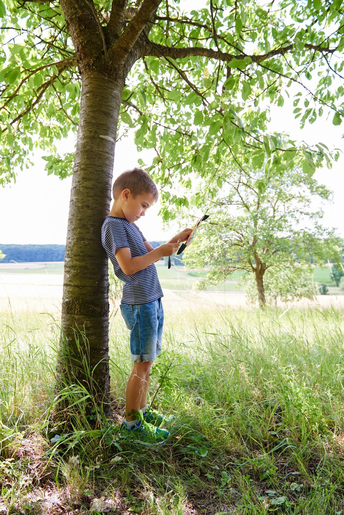 Terra Kids - Fronde-oiseau