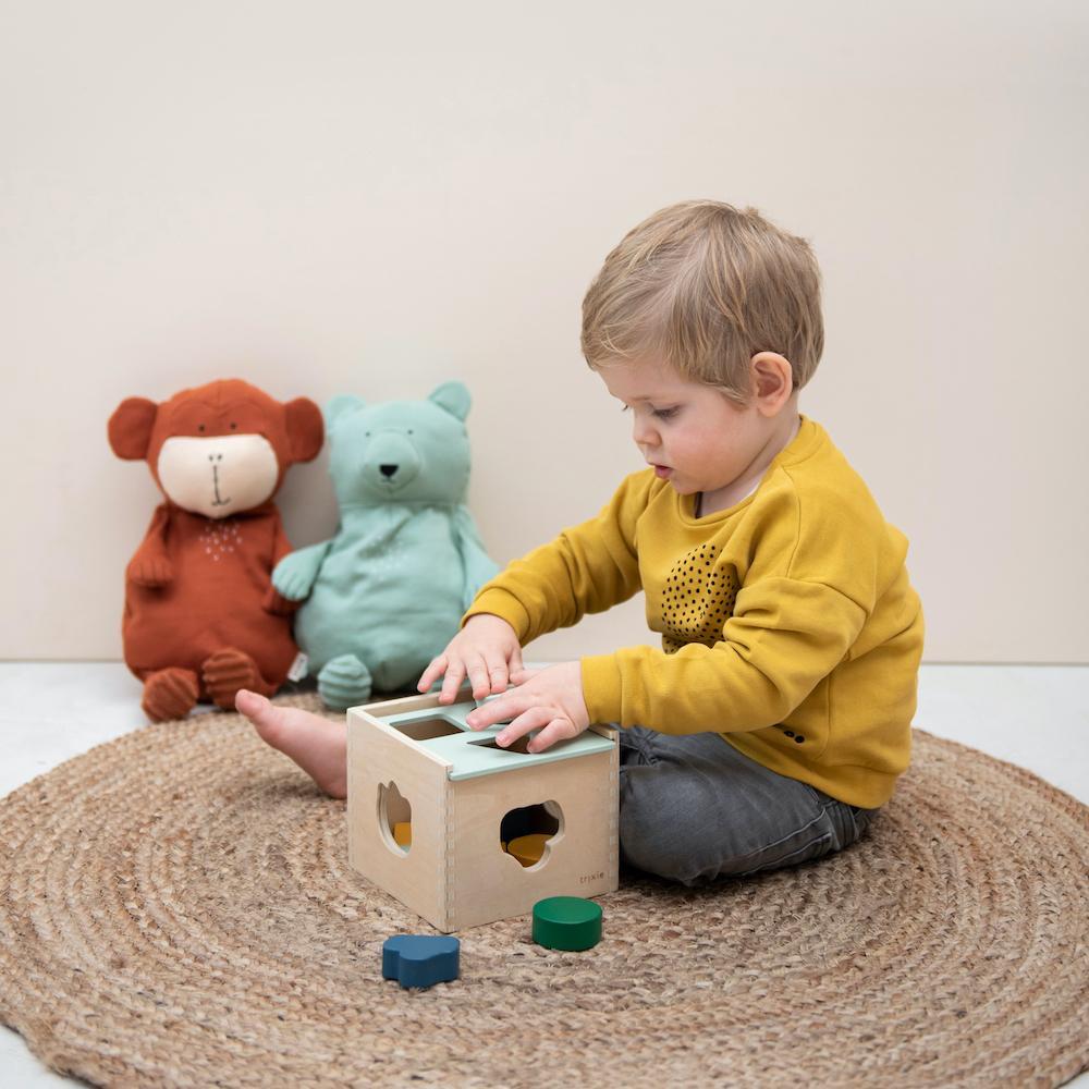 Trixie Wooden Shape Sorter Box - FSC® Certified - Ages 18 Months+ - Dimensions: 15 x 15 x 15 cm