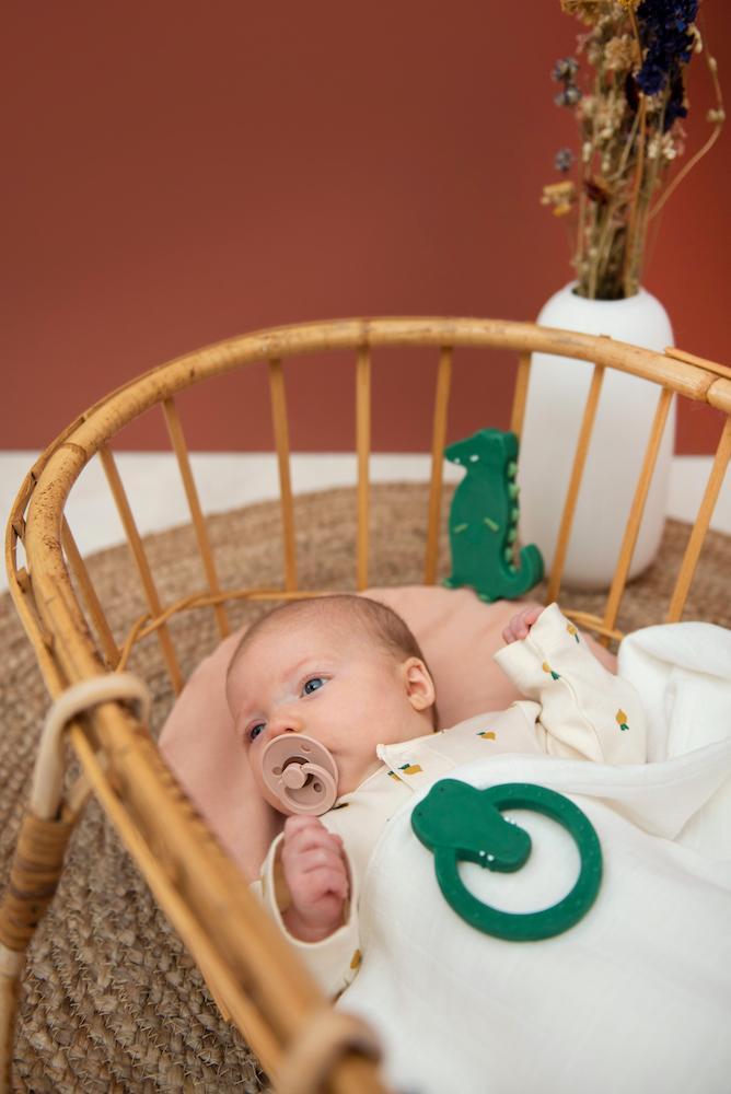 Natural Rubber Teething Ring - Mr. Crocodile by Trixie