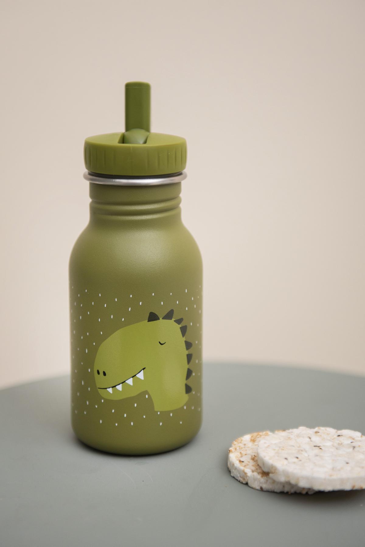 Steel Stainless 350 ml Water Bottle by Trixie - Mr. Dino