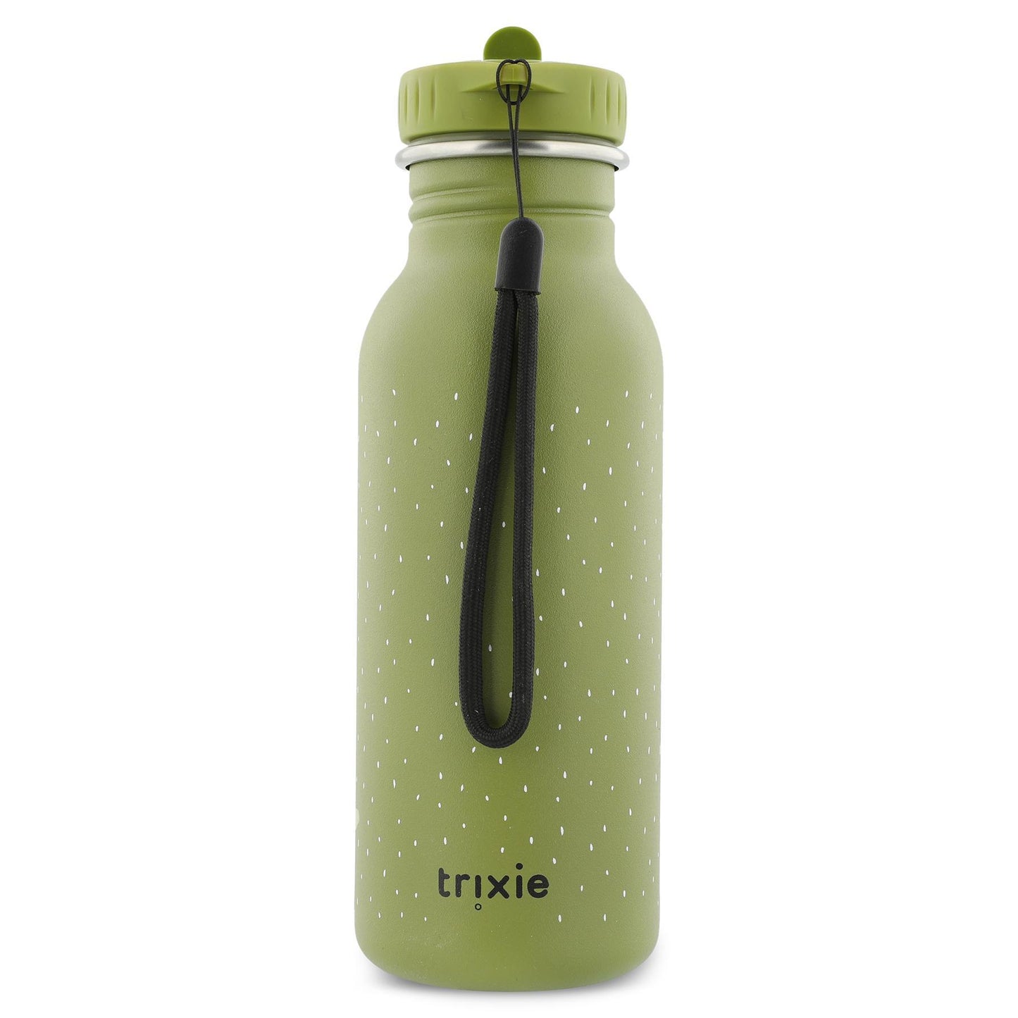 Stainless Steel 500 ml Water Bottle - Mr. Dino by Trixie