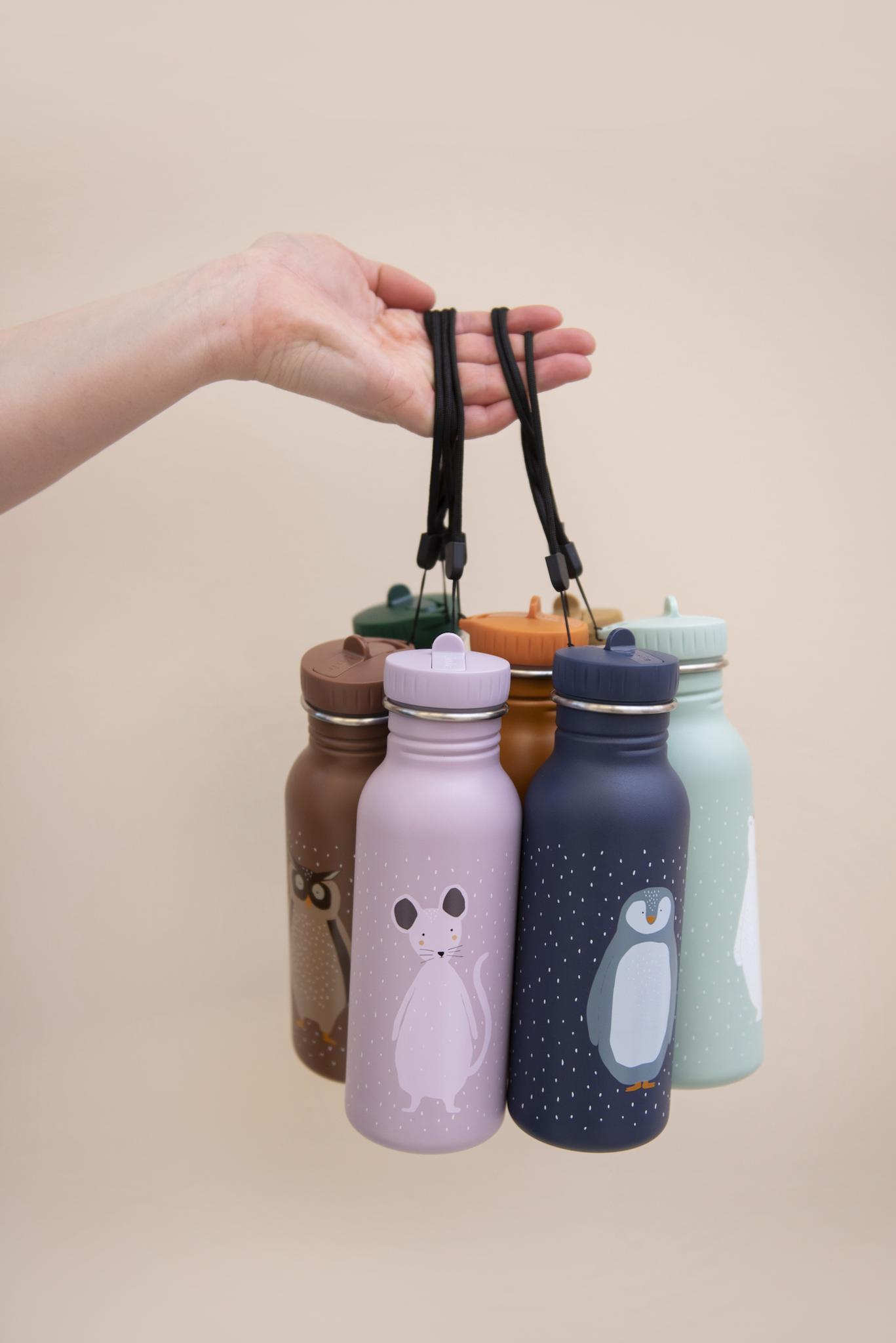 500ml Stainless Steel Water Bottle - Mrs. Mouse by Trixie