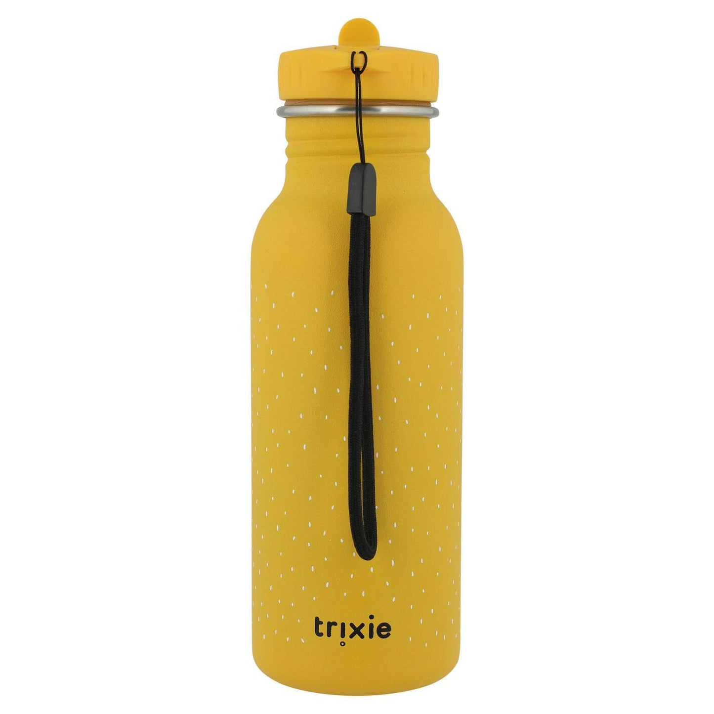 500ml Stainless Steel Water Bottle - Mr. Lion by Trixie