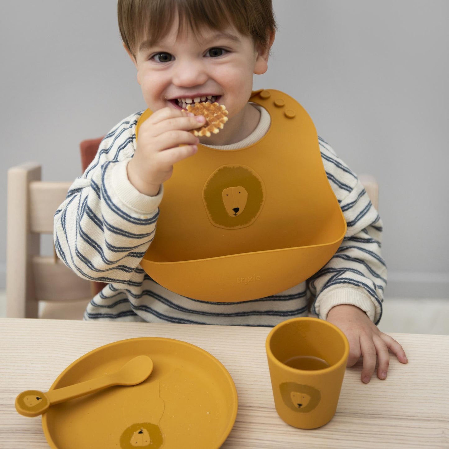 Set of 2 Silicone Bibs - Mr. Lion by Trixie