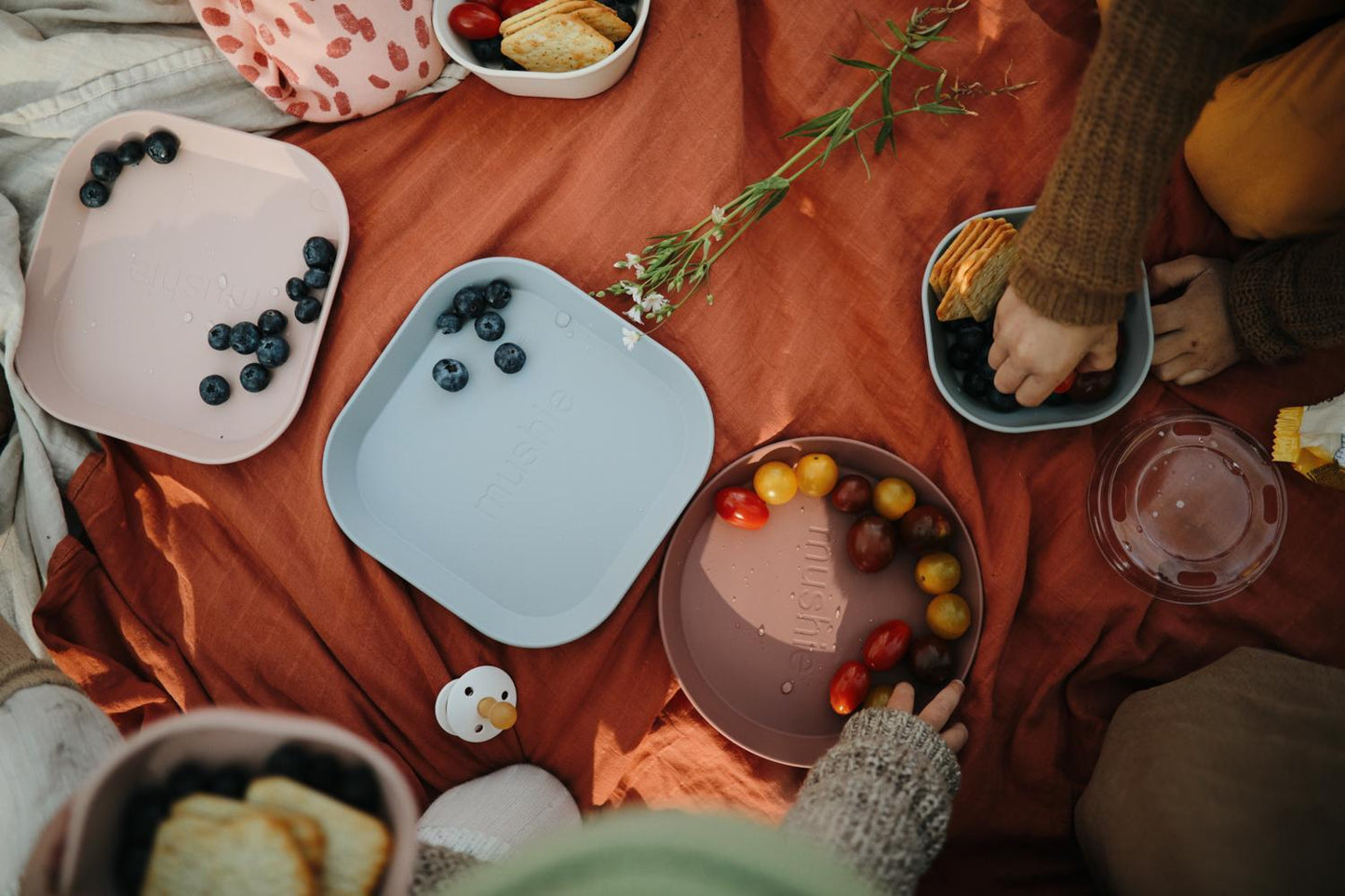 Set de 2 assiettes rondes - Woodchuck