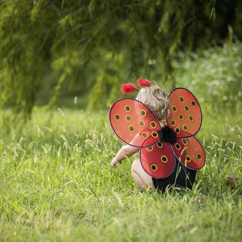 merveilleuses ailes de coccinelle et diadème