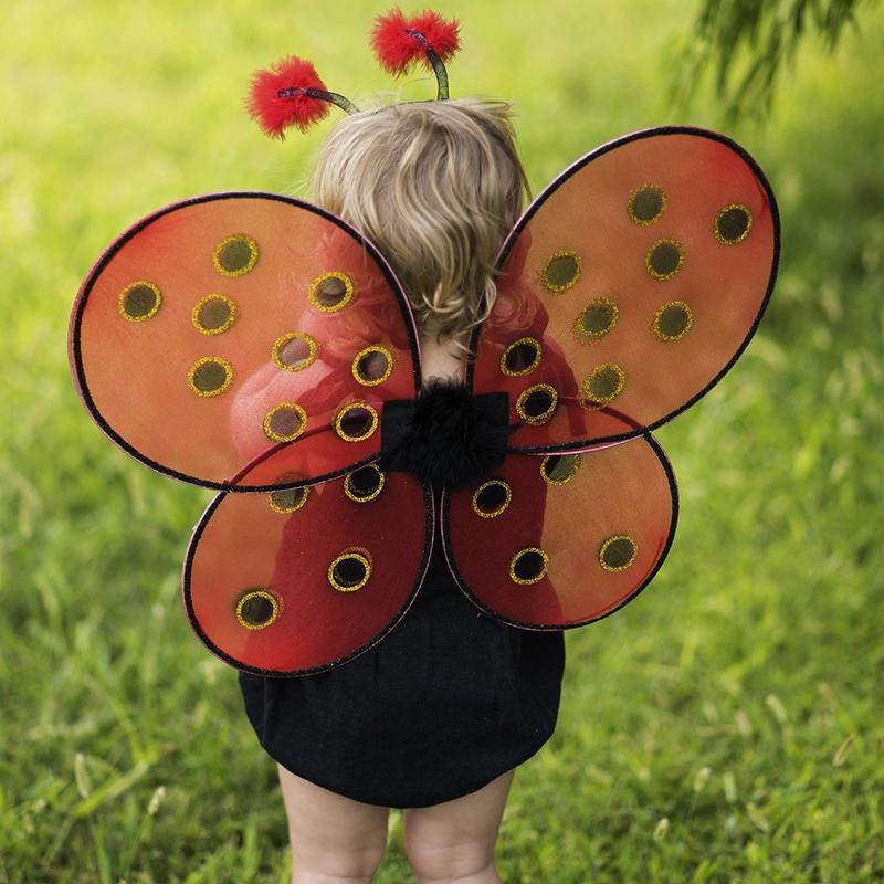 merveilleuses ailes de coccinelle et diadème