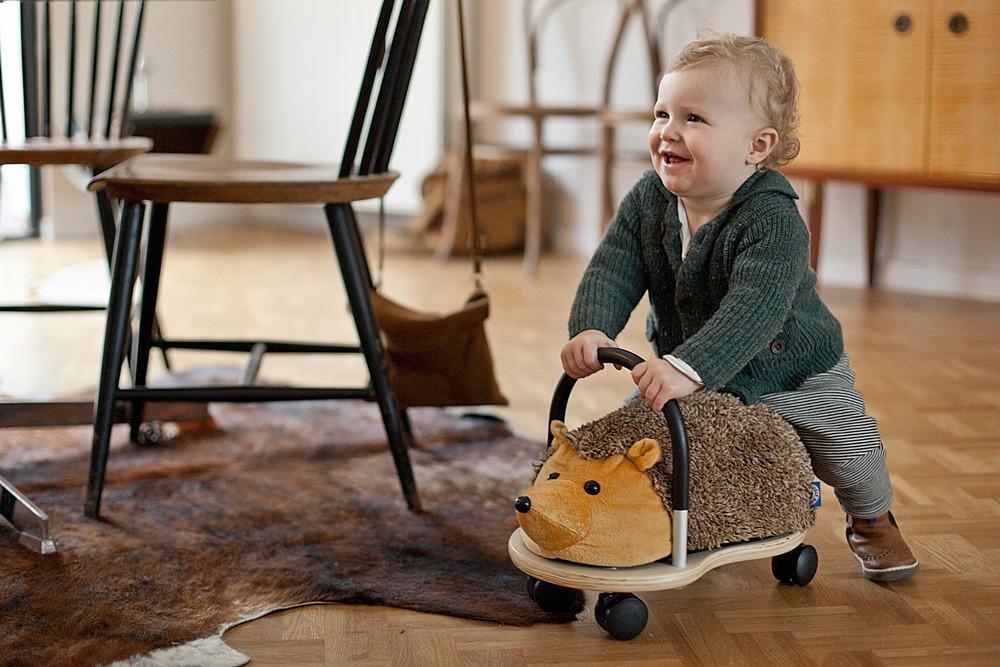 housse hérisson pour Wheelybug petit modèle