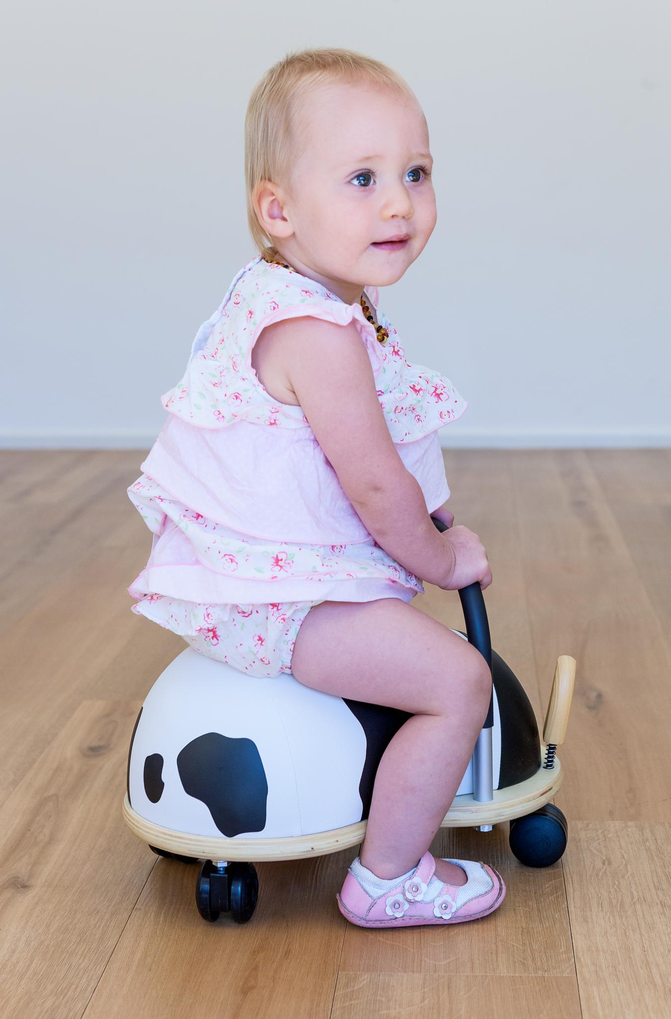 Housse panda pour Wheelybug petit modèle