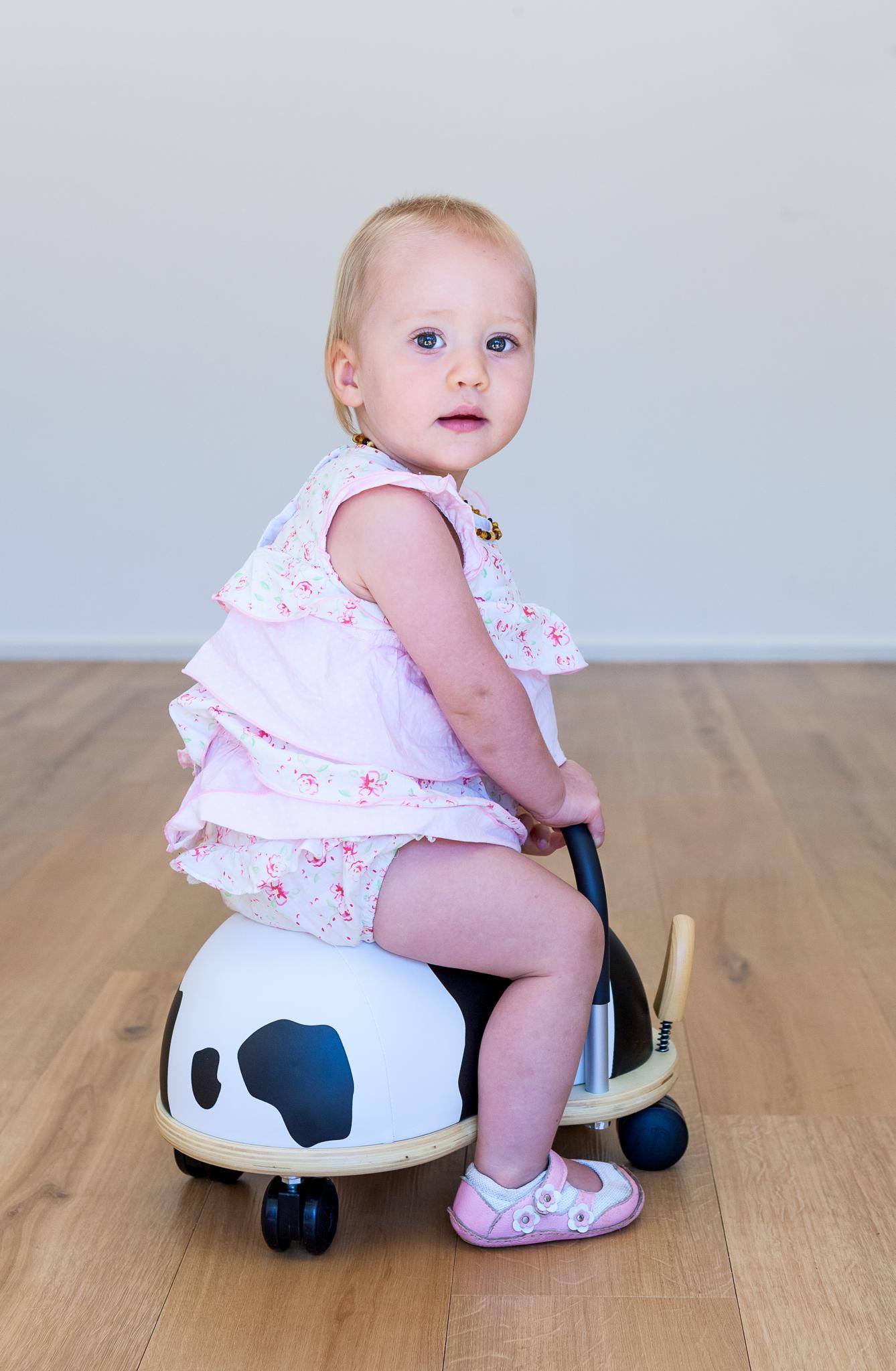 Housse panda pour Wheelybug petit modèle