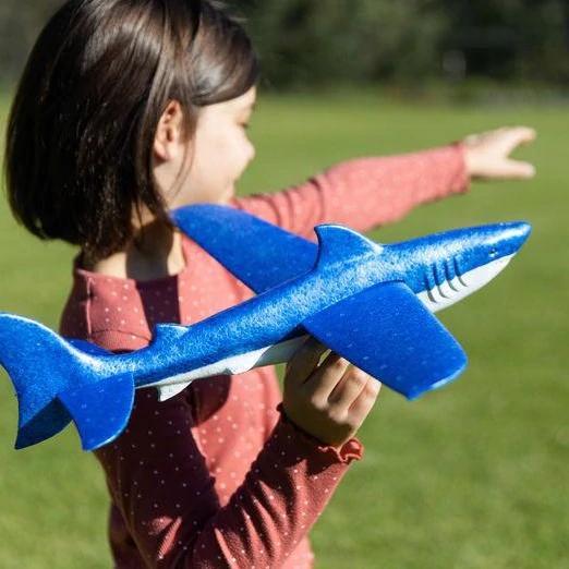 Planeur Requin