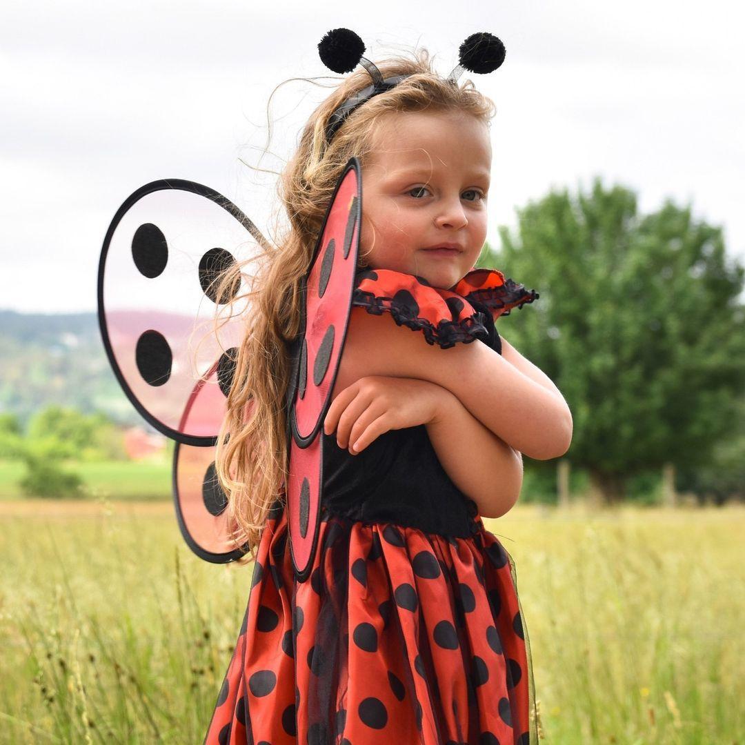 Robe de Coccinelle avec accessoires